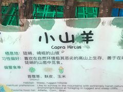 -史努比缤纷世界