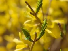 -哈尔滨师范大学(松北校区)