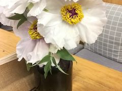 -251#coffee roasters(沿河东路店)