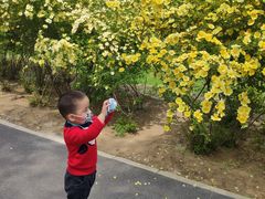 -大兴滨河森林公园