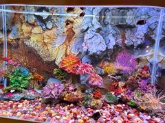 -秦皇岛新澳海底世界