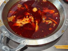 -蜀滋香鲜鱼美蛙火锅(339店)