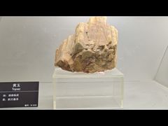 -甘肃地质博物馆