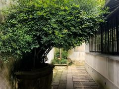 -乌镇东栅景区-茅盾故居