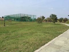 -中国扬子鳄村