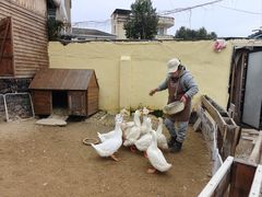 -HERRE·FARM 赫尔露营农场·团建聚会包场