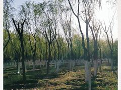 -东郊湿地公园