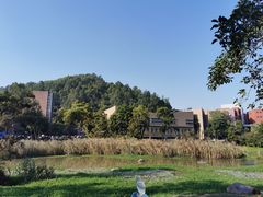 -北京师范大学(珠海校区)
