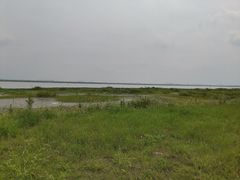 -七的湖·晚芳亭·阳澄湖农家菜·大闸蟹(莲花岛店)