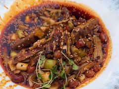 -院8里·小聚园老川菜(九眼桥店)