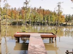 -上海长兴岛郊野公园