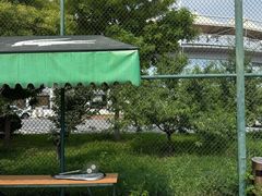 -朝阳公园体育中心
