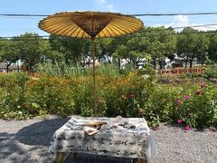 -丫丫蟹庄·苏式园林农家乐·阳澄湖大闸蟹(阳澄湖莲花岛店)