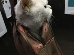 -萌兽医馆·眼科·异宠专科(三里屯店)