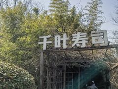 -千叶寿司创意融合料理(水韵城店)