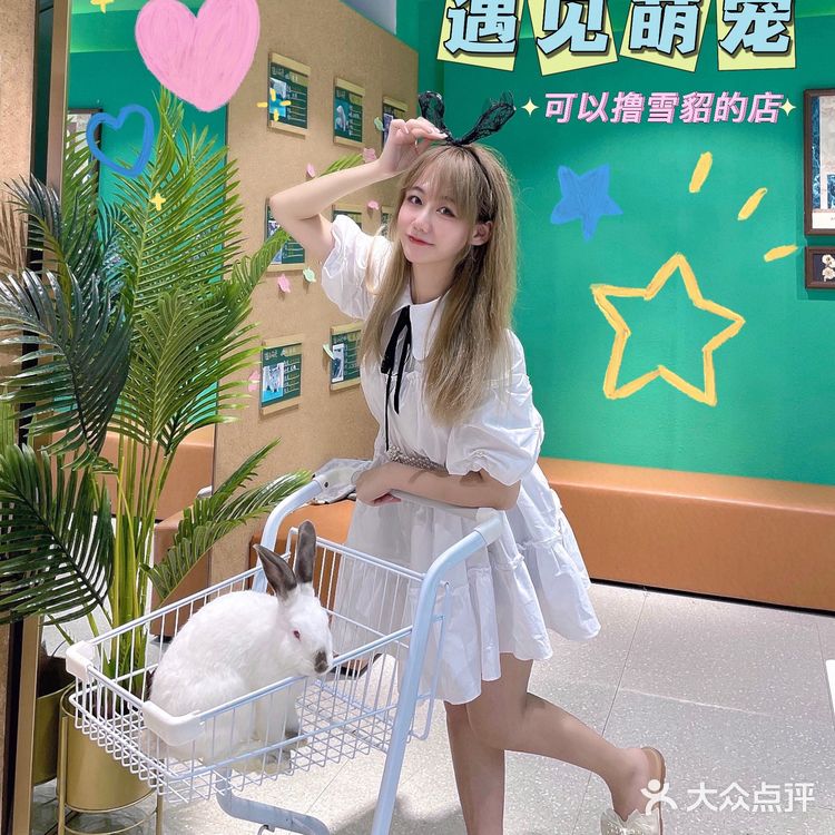 可以撸雪貂的店💘|遇见萌宠2.0
