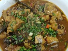 -全乐鱼馆·淳牌有机鱼直营店