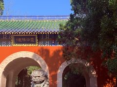 -灵谷景区