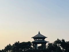 -苏州图书馆(人民路总馆)