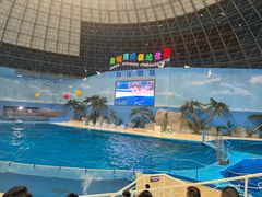 -泉城欧乐堡海洋极地世界