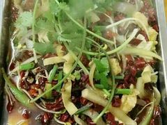 -哈尔滨阳光饺子园(阳光花园店)