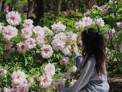 -洛阳市隋唐城遗址植物园