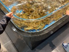 -东海怡品海鲜豆捞(星街坊店)