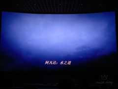 -金逸影城(荟聚IMAX激光店)