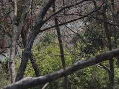 -幕燕滨江·燕子矶公园
