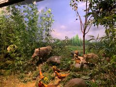 -陕西自然博物馆