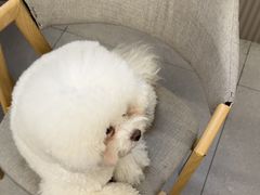 -全心全意动物诊疗中心医院(北苑店)