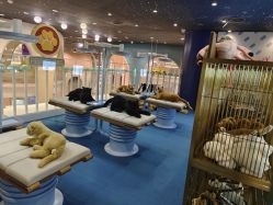 -奈尔宝·儿童乐园·亲子餐厅(鄞州万达店)