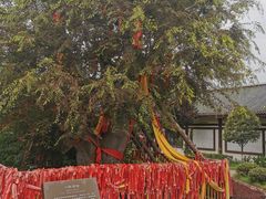 -西安汉城湖景区