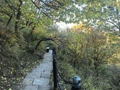 -北京十三陵国家森林公园蟒山景区
