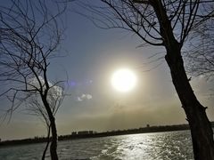 -绿堤公园