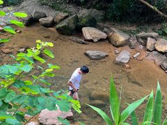 -广州白江湖森林公园