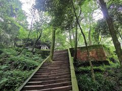-青城山