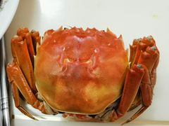-黄记大闸蟹专卖店·活蟹·醉蟹