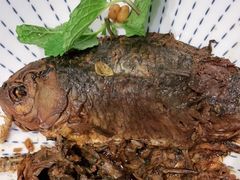 -紫光园·烤鸭(吕家营店)