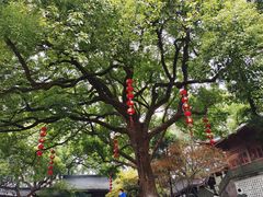 -城隍阁