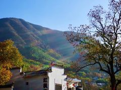 -塔川景区