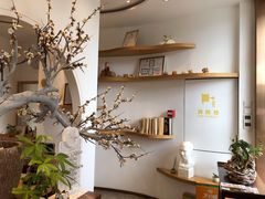 -不凡脑禅境·养生·舒压调理SPA(华发世纪城店)