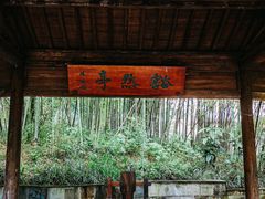 -西院1号(龙井店)