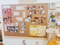 -滚猫咖啡·猫咖·猫友好撸猫(未来城店)