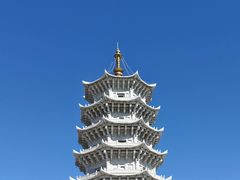 -嘉荫恐龙国家地质公园