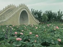 -漳泽水库水上公园