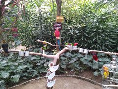 -南宫温泉水世界