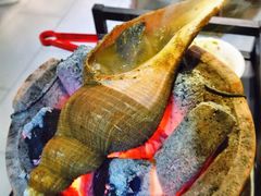 炭烤响螺-金龙·打边炉(南京西路店)