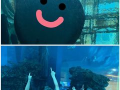 -乐从天佑城海洋馆