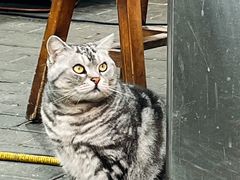 -清真学习巷串串